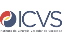 logo_icvs